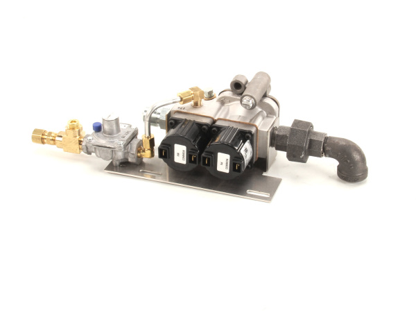 Gas Valve Assy